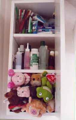 5_5.jpg (14773 bytes)