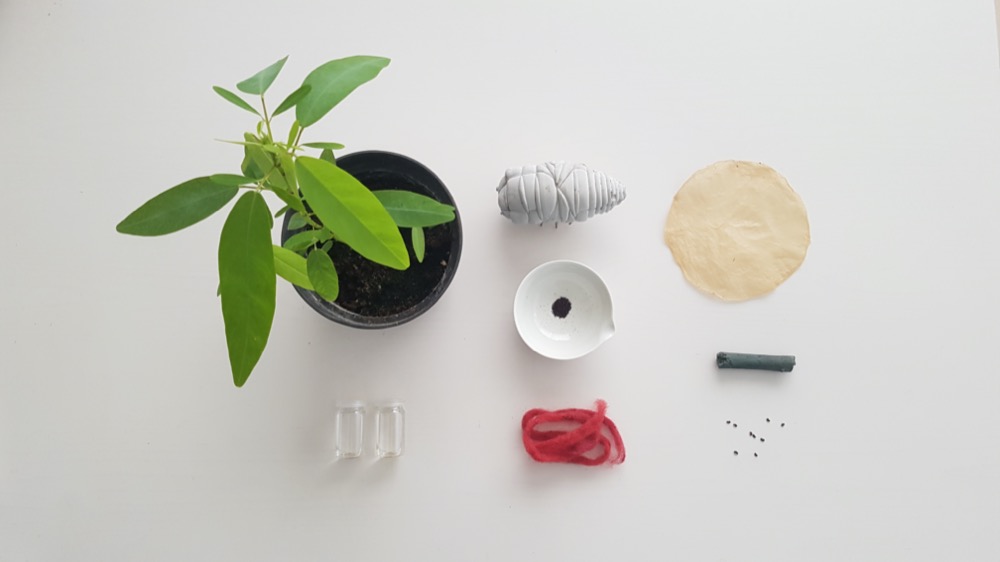 Rethinking Alive as Material