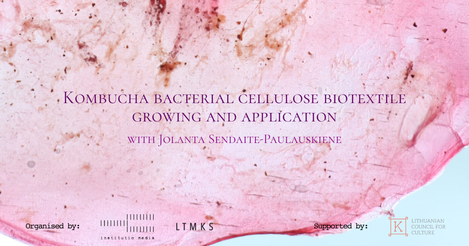 Kombucha bacterial cellulose biotextile growing and application with Jolanta Sendaite-Paulauskiene