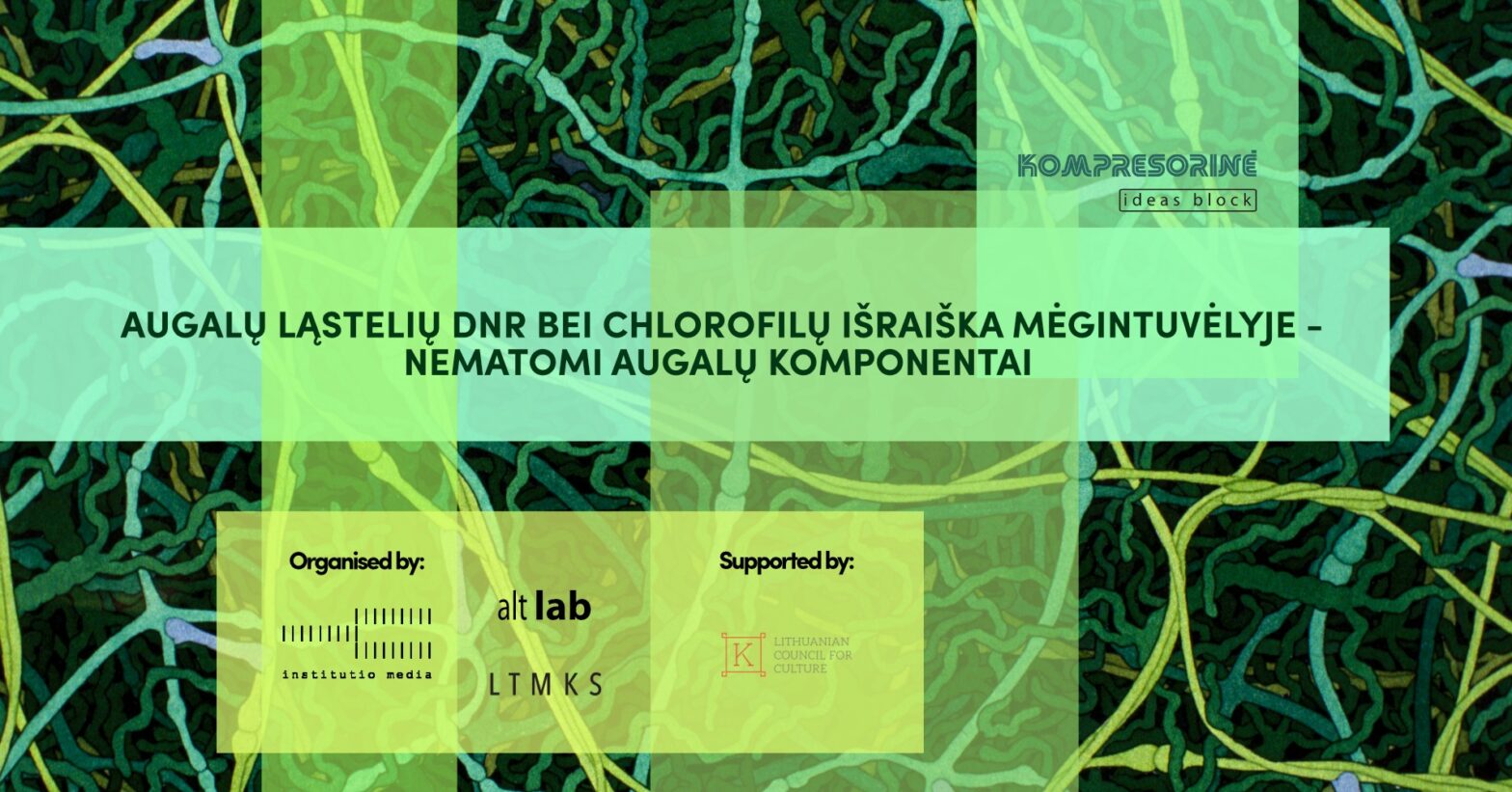 Extraction of DNA and chlorophyll from plant cells - seeing the invisible constituents of plants